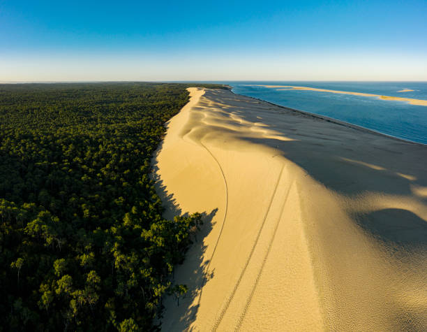 Location Saisonnière sur le Bassin d’Arcachon